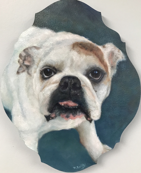 bulldog pet portrait